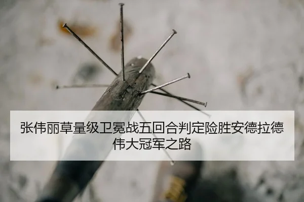 zhang-wei-li-cao-liang-ji-wei-mian-zhan-wu-hui-he-pan-ding-xian-sheng-an-de-la-de-wei-da-guan-jun-zhi-lu-2-545.jpg